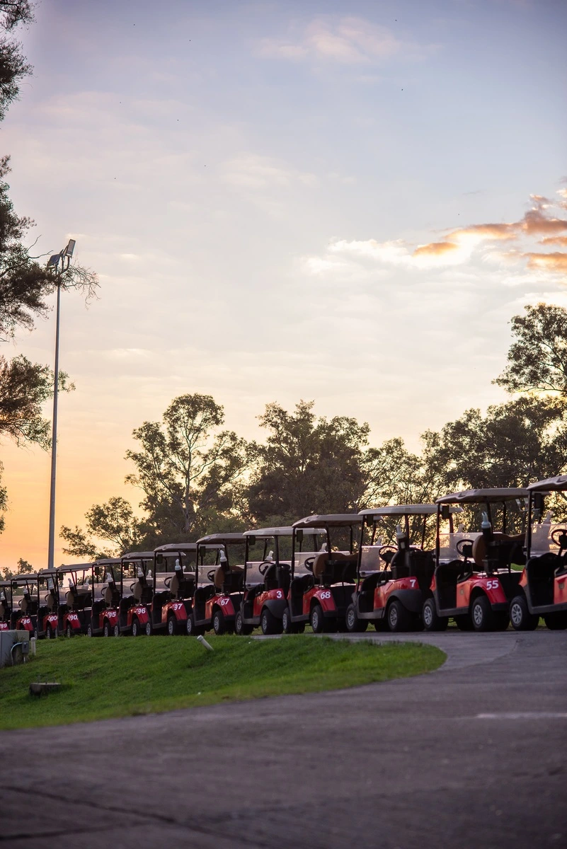 Fila de carritos de golf estacionados junto al camino del campo, con árboles y un cielo al atardecer como fondo